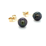 9ct YELLOW GOLD TAHITIAN CULTURED PEARL SET STUD EARRINGS