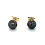 9ct YELLOW GOLD TAHITIAN CULTURED PEARL SET STUD EARRINGS